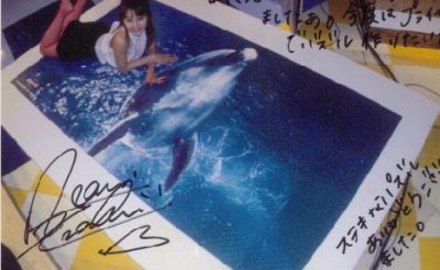 ���i�C���[�W