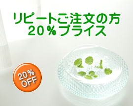 ���i�C���[�W2